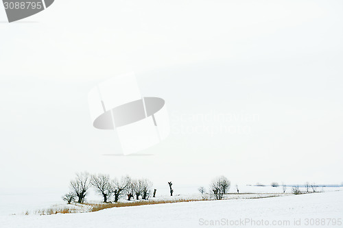Image of Wintertime