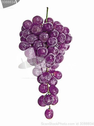 Image of Grapes