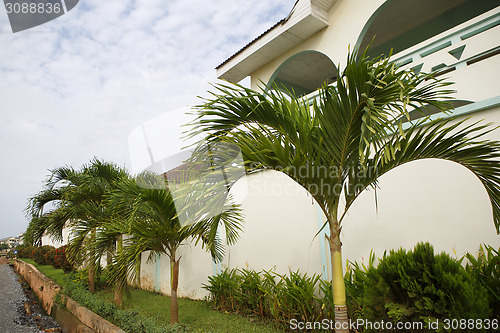Image of Beautiful white house front with green palm trees