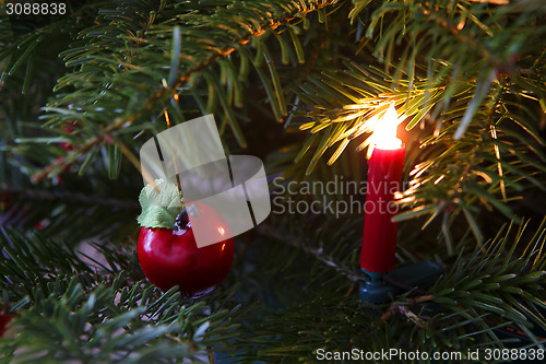 Image of Closeup of a green Christmas tree with lights