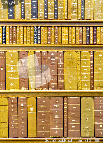Image of Books vertical