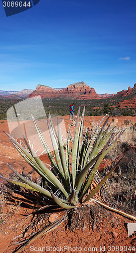 Image of View of Oak Creek Canyon Arizona     