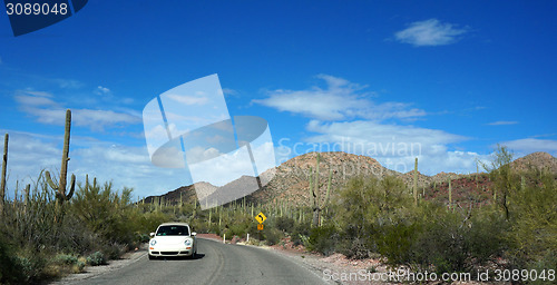 Image of Scenic inside the Arizona-Sonora Desert Museum 