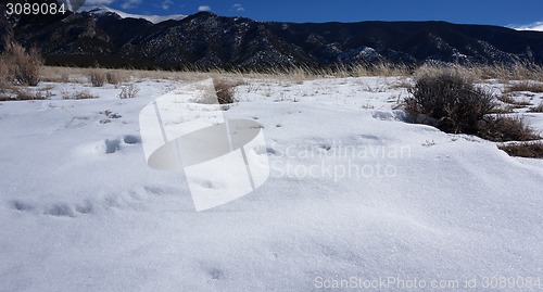 Image of Great Sand Dunes National Park