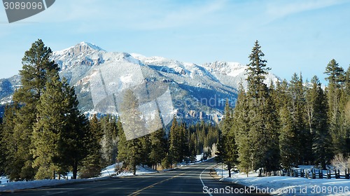 Image of Road with pikes tree in the winter