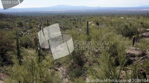 Image of Scenic inside the Arizona-Sonora Desert Museum 