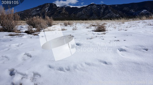 Image of Great Sand Dunes National Park