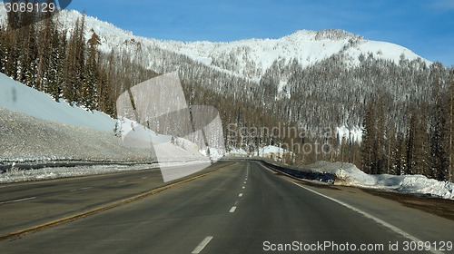 Image of Road toward the pikes forest in the winter