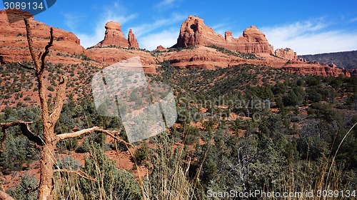 Image of Wilderness of Rocky Mountain in Arizona, USA