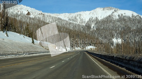 Image of Road toward the pikes forest in the winter