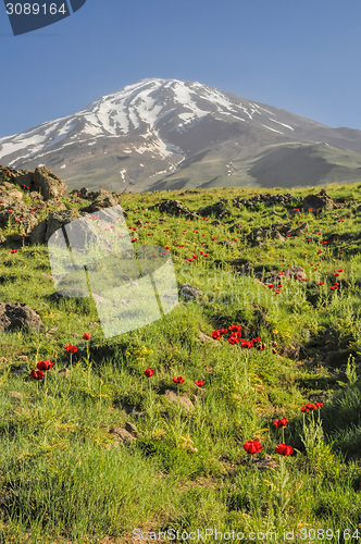 Image of Damavand in Iran