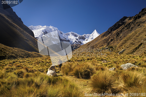 Image of Peruvian Andes