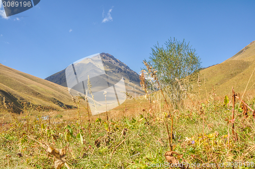 Image of Grasslands in Kyrgyzstan