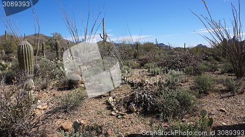 Image of Scenic inside the Arizona-Sonora Desert Museum 