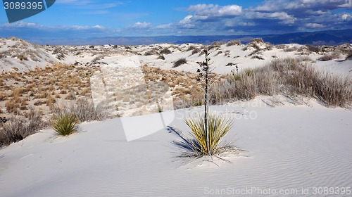 Image of White Sands, New Mexico