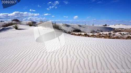 Image of White Sands, New Mexico