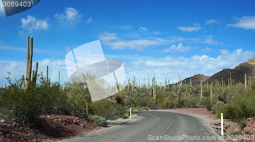 Image of Scenic inside the Arizona-Sonora Desert Museum 