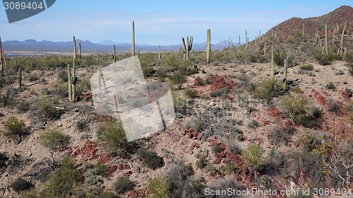 Image of Scenic inside the Arizona-Sonora Desert Museum 