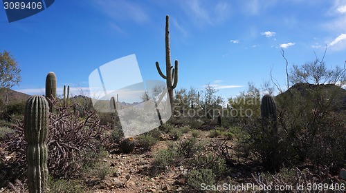 Image of Scenic inside the Arizona-Sonora Desert Museum 