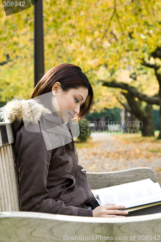 Image of Studying girl