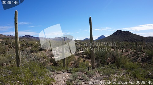 Image of Scenic inside the Arizona-Sonora Desert Museum 