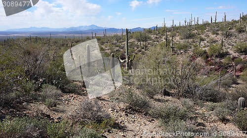 Image of Scenic inside the Arizona-Sonora Desert Museum 