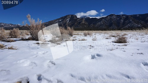 Image of Rocky mountain of Colorado in the winter