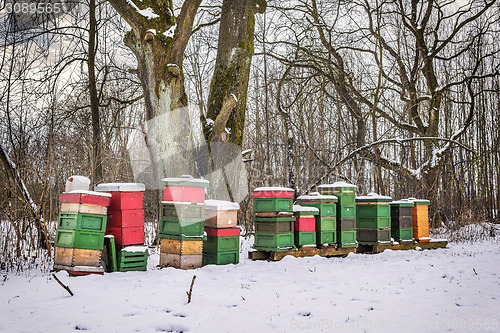 Image of Been boxes in winter