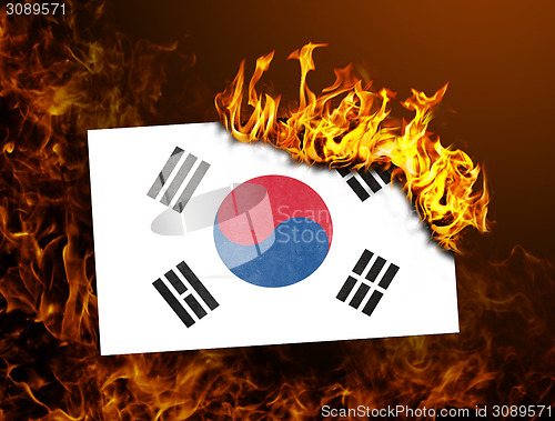 Image of Flag burning - South Korea