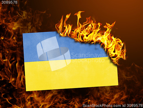 Image of Flag burning - Ukraine