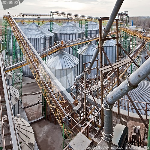 Image of Towers of grain drying enterprise at sunny day