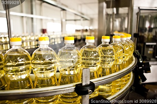 Image of Factory for the production of edible oils. Shallow DOFF.