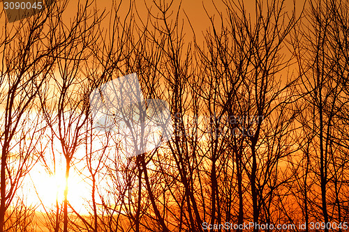 Image of Sunset background