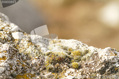 Image of Hilly place