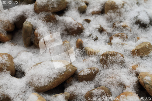 Image of First snow