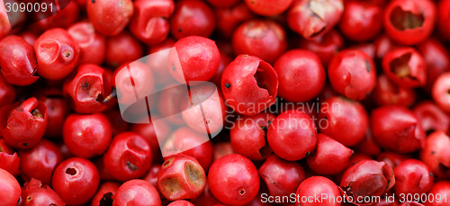 Image of Pink Pepper