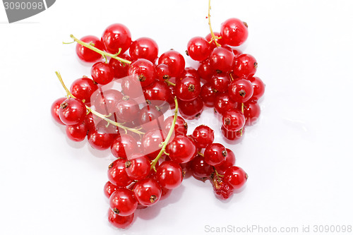 Image of Red currant