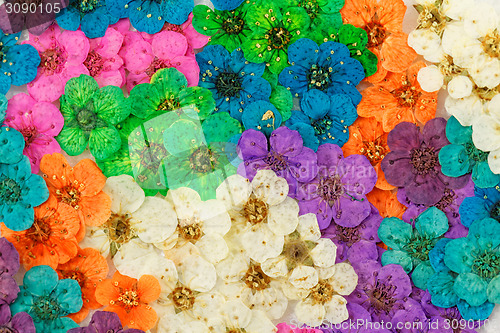 Image of Decorative montage compilation of colorful dried spring flowers
