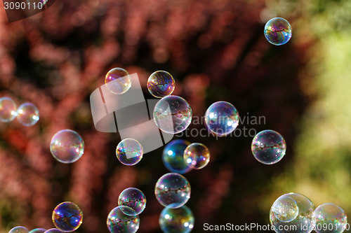 Image of Soap bubbles