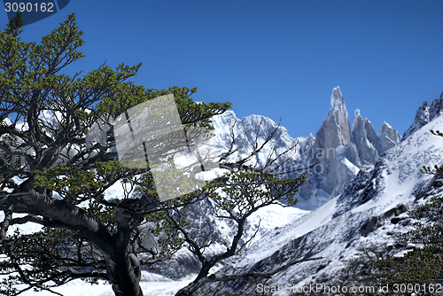 Image of Los Glaciares National Park