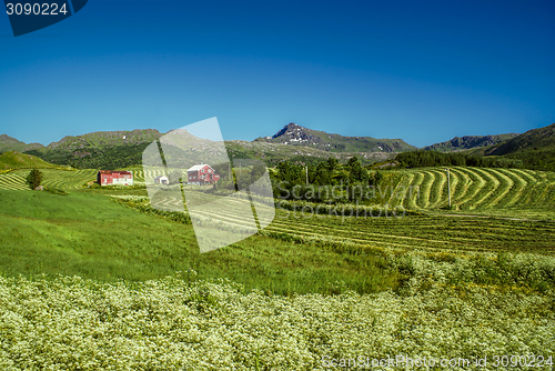 Image of farm in Norway