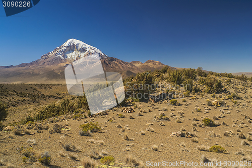 Image of Nevado Sajama