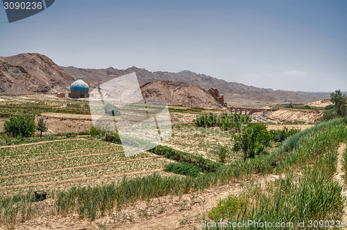 Image of Crops in Iran