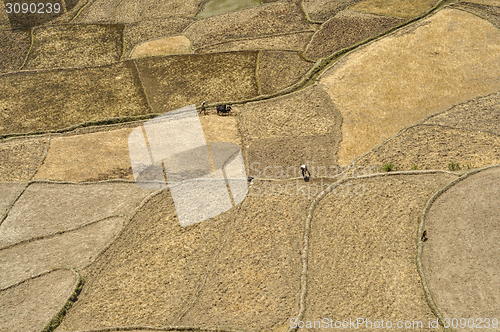 Image of Fields in Nepal