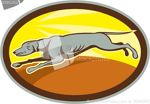 Image of Greyhound Dog Jumping Side Oval Cartoon