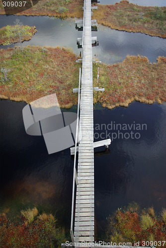 Image of Hiking path