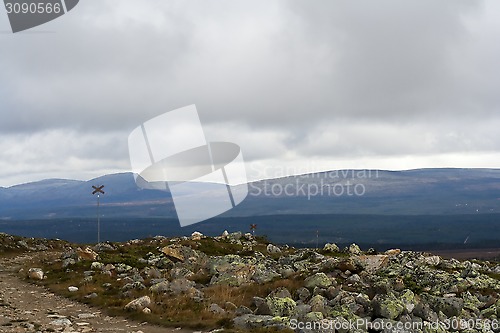 Image of rare mountain