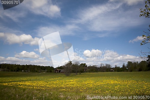 Image of rural landscape