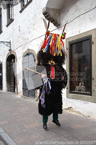 Image of Ptuj Kurent