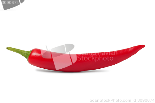 Image of Chili pepper on white